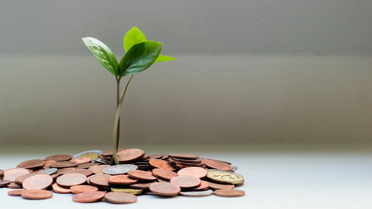 Small plant growing from a pile of coins